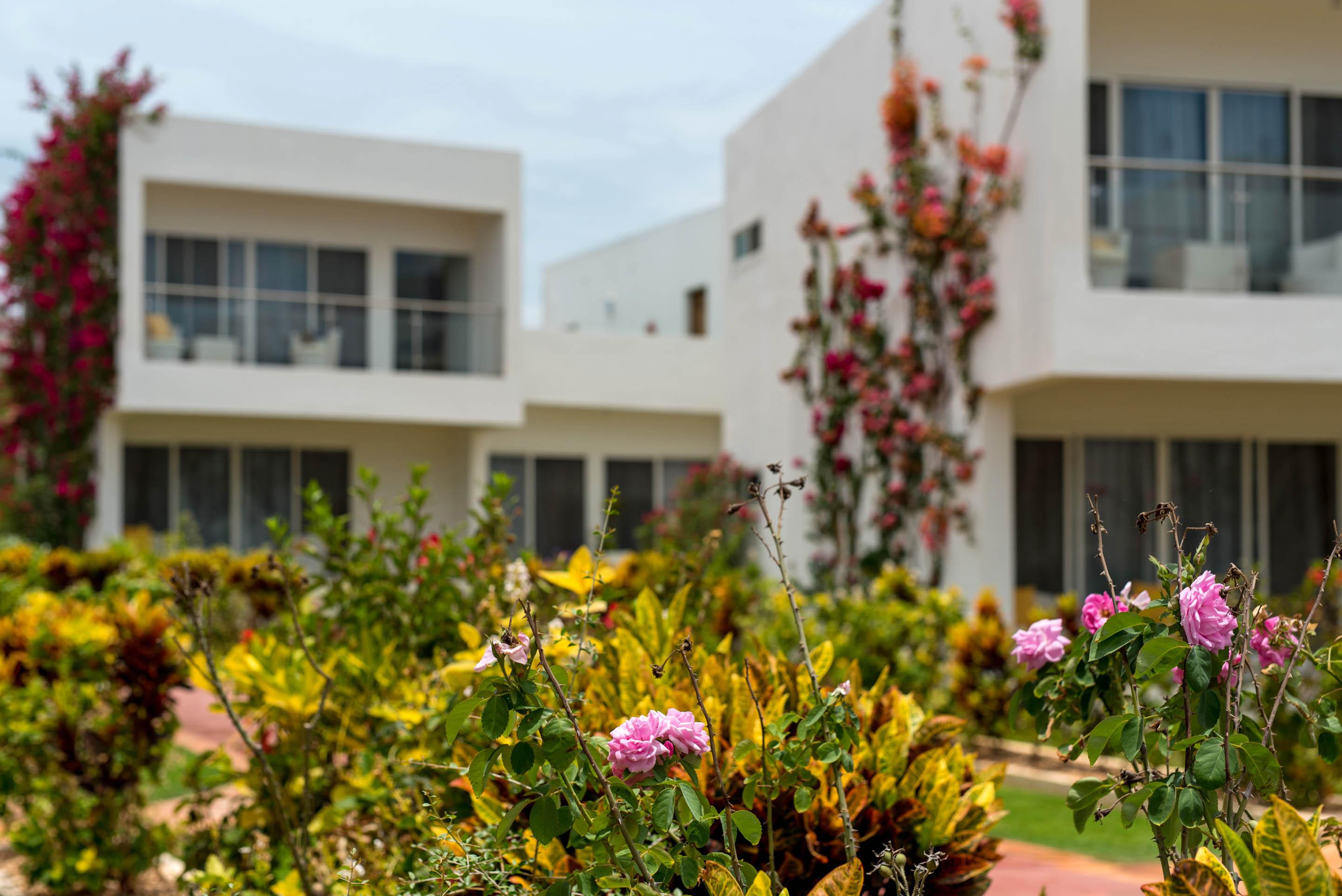 Hotel Nungwi Dreams By Mantis Esterno foto Residential area